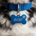 Aluminium Knochen Anhänger Hundemarke personalisiert Gravur Knochenform Blau