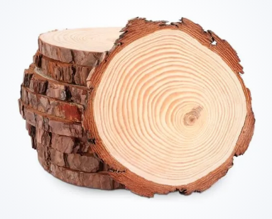 Holzscheibe mit Fotogravur